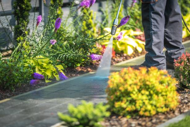 Lino Lakes, MN Pressure Washing Pros