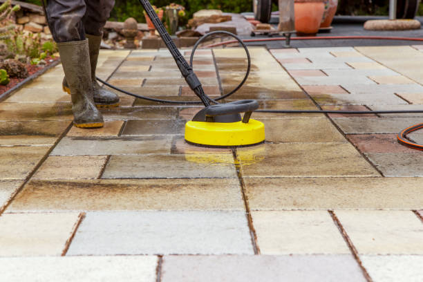 Best Soft Washing  in Lino Lakes, MN