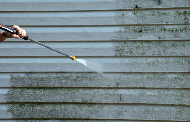 Best Patio and Deck Pressure Washing  in Lino Lakes, MN