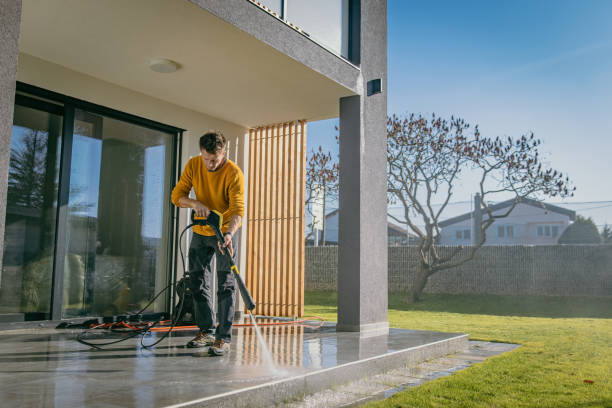 Best Gutter Cleaning  in Lino Lakes, MN