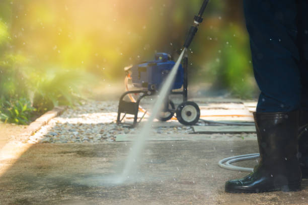 Best Driveway Pressure Washing  in Lino Lakes, MN